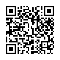 Alan Walker - The Drum [24Bit-44.1kHz] (2022) FLAC [PMEDIA] ⭐️的二维码