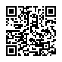 【枫叶字幕组】宠物小精灵XY&Z[第48(140)话][720P][MP4][GB].mp4的二维码