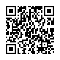 Black-Lagoon-Complete-Set-Season-1-2-2006-AVC-1080p-3xBD50的二维码