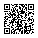 Toradora Portable! とらドラ・ポータブル! Special DVD 『スペシャルダイジェスト＋映像特典「とらドラ! 亜美のモノマネ150連発!!」』 (DVD 848x480p x264 AC3).mkv的二维码