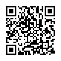[Ruffy] Detective Conan 336 [GER] - 311 [JAP][BDRip][H.265][1080p].mp4的二维码